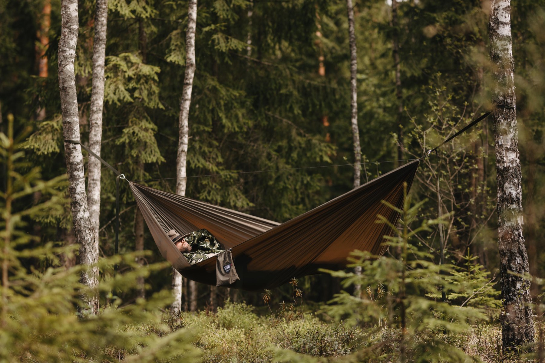 A hammock slung between birch and spruce in a Latvian forest, someone lying in it.